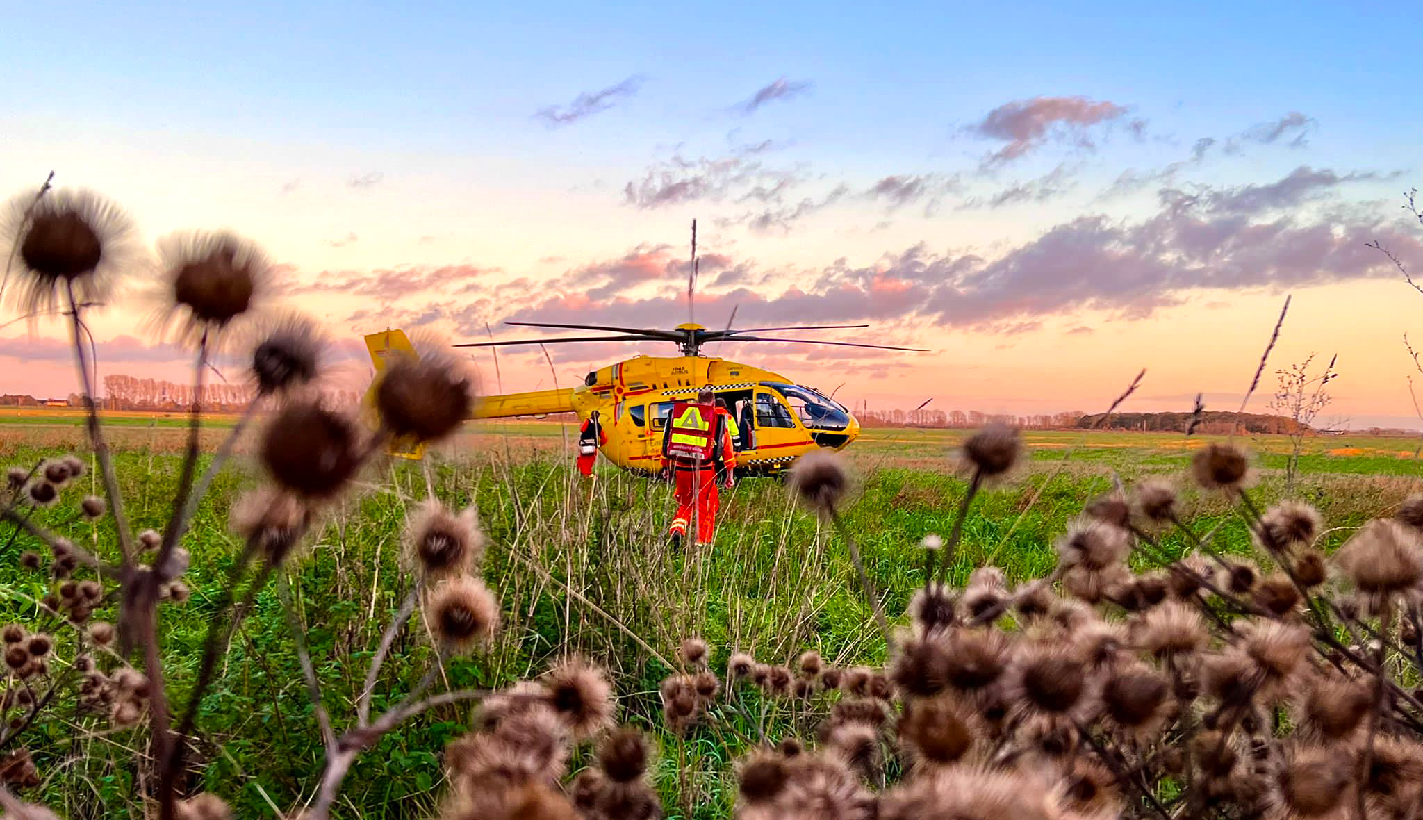 Helicopter in a thistle field