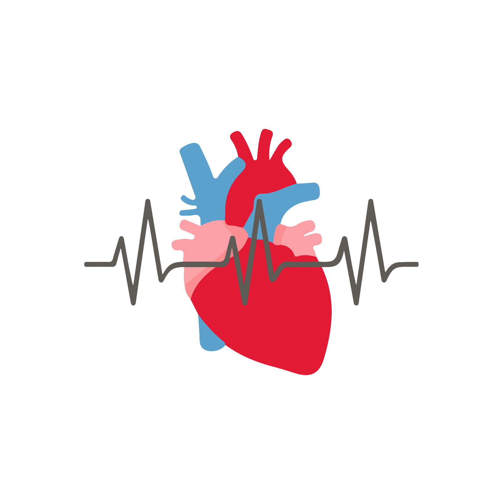 Cardiac Arrest Illustration- Image credit Heart Foundation .org