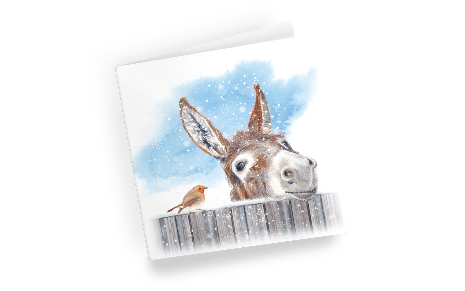 Little Donkey Christmas Cards