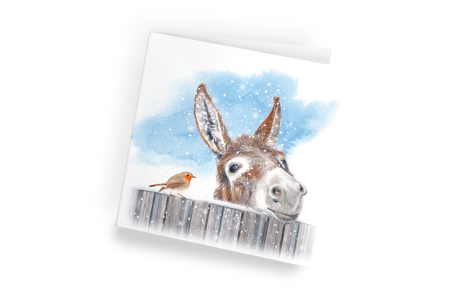 Little Donkey Christmas Cards