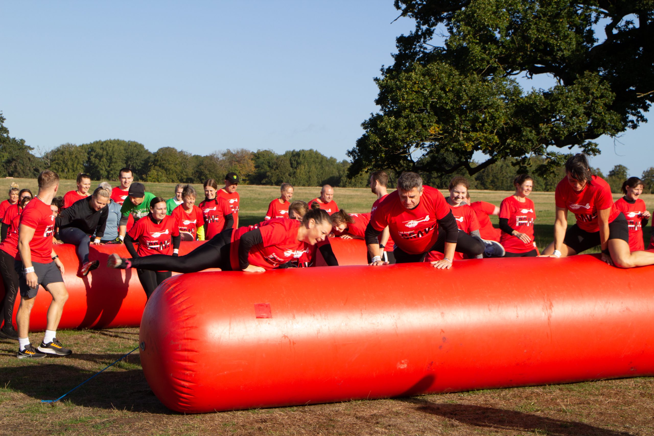 Giant Hurdles