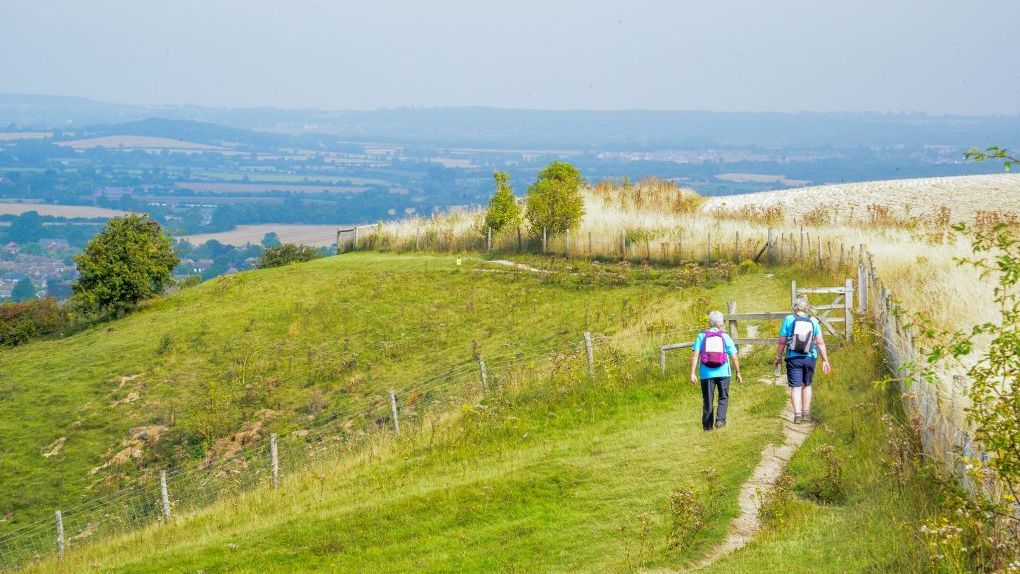 Trek 24 Bedfordshire